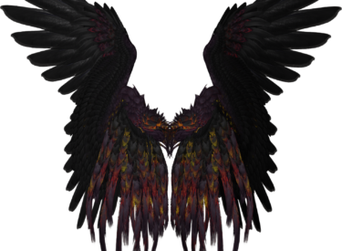 wings png transparent