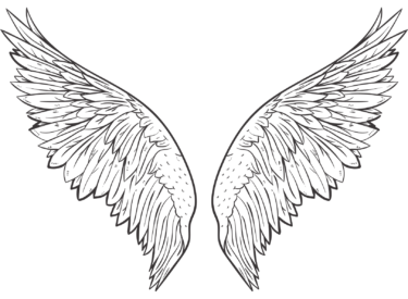 wings png transparent