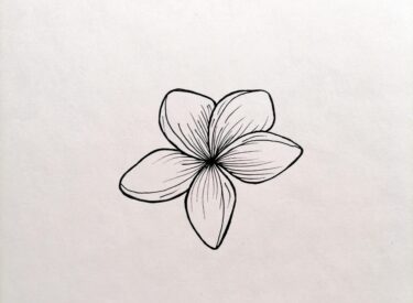 Flowers Pencil Drawing