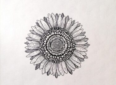 Flowers Pencil Drawing