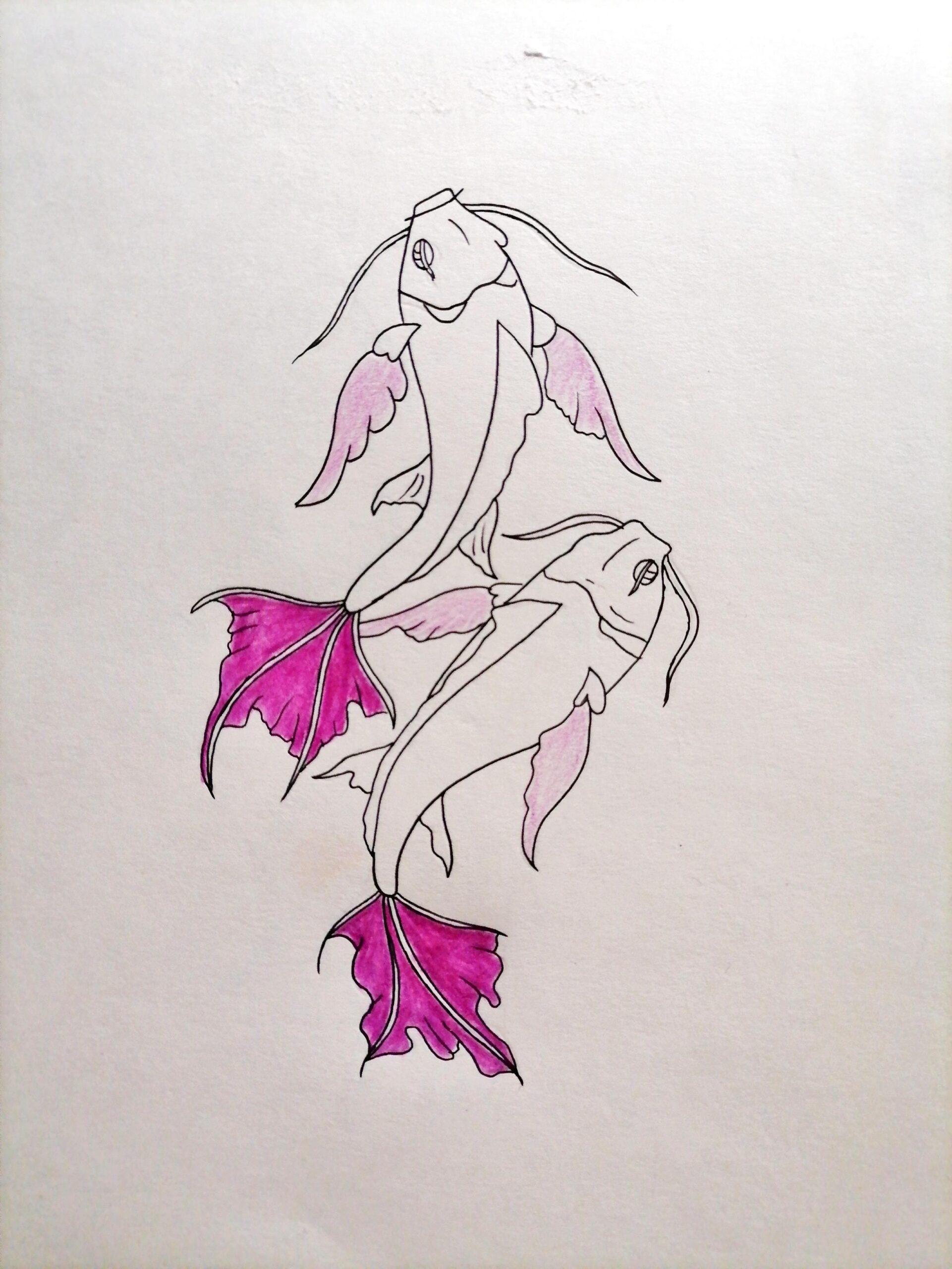 koi fish pencil drawing
